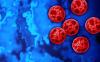 2 Cyclosporiasis Outbreak 2026: 1,645 Confirmed Cases in 34 States, With a Growing Cluster in Michigan, Ohio, West Virginia, and Kentucky