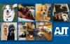 Atlanta Jewish Times Staff Pets 2026