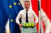 Hungary PM praises Pakistani mangoes gifted by Shehbaz