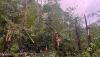 Viewer photos show storm damage, trees down in Weathersfield, Vermont
