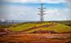 Cuban eastern province promotes forest protection