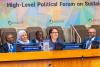 Tanzania reports progress on UN Sustainable Development Goals