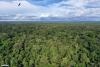 How Brazil’s federal fiscal policy hinders Amazon Rainforest conservation (commentary)