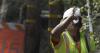 Know how to stay safe with these tips as heat wave hits Maryland