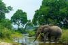 UK withdraws millions in funding from world’s second-largest rainforest in Congo 