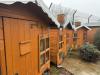 Shrewsbury cat rescue centre appeals to local businesses to sponsor new Retirement Village cottages