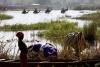 Lake Chad drying up poses global environmental threat — Minister