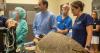 Orlando Health Melbourne Hospital partners with Brevard Zoo to expand specialized care for sea turtles