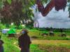 A World Where Power Prevails Over Justice: What It Means for Myanmar