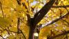 See Old Farmer's Almanac's Reno autumn weather prediction 