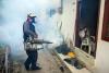 Military deployment: Sri Lanka expands anti-dengue drive as deaths mount