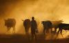 The African Farmers Devastated by Extreme Heat