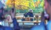 Beijing Zoo's new habitat puts giant pandas' welfare at its heart