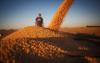 Brazil’s exports to Iran surge despite Gulf tensions