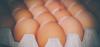 Shift to cage-free eggs still moving slowly in Brazil