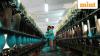 US tariff talks, West Asia tensions cloud outlook for Indian textile exporters