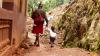 The new malaria vaccine helps in Africa but faces dosing test