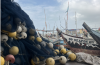 From the sea to your plate: Following the path of our fish 