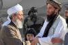 The Mujaddadis: From the Indian Subcontinent to a Religious-Political Power Network in Afghanistan