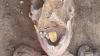 Historic 'gold tongues' find in Egypt
