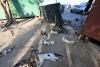 Activists seek tougher animal welfare laws to curb rising pet abandonment