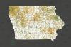 Iowa has 15,309 animal feeding operations, aerial mapping finds — thousands more than the state monitors