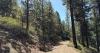 Nevada County approves agreement to advance Truckee wildfire fuel break