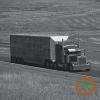 Wisconsin tightens animal import rules as part of new world screwworm mitigation efforts