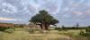 Like ‘climbing Kilimanjaro’ without help: Interview with a Limpopo conservationist
