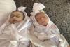 Gaza Health Ministry: Rising family targeting, death toll in June & July