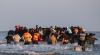 At least 50 migrants dead after boat capsizes off Libya