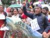 World News | Nepal: Tomato Farmers Protest over Low Prices, Accuse Government of Neglect