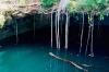 Mexico’s Supreme Court Agrees to Hear Historic Cases on Rights of Nature in the Yucatan Peninsula
