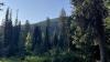 Forest Service move to Salt Lake City challenged in new federal lawsuit