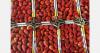 Egyptian strawberry acreage set to shrink next season