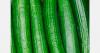 Estonia to phase out shrink-wrapped cucumbers by 2030