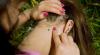 Health authorities see record number of tick bites during June heatwave