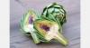 Ukraine adds artichoke to state plant variety register