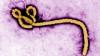 Why the Ebola outbreak in Africa is tough to track