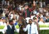 St Leger and Arc to be Considered for Maltese Cross