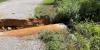 North Cumberland WMA road closed after washed-out culvert causes crash: TWRA