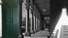 Kathryn Baldacchino’s exhibition to open at the Malta Society of Arts