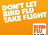 H5N1 bird flu found in seabird on Petone beach – but no more cases