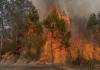 Experts defend lightning strike theory as skeptics question Shallotte wildfire cause