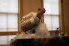 Lisbon Public Library Mixes Curiosity With Chemicals