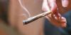 Linking bipolar disorder vulnerability to cannabis habits in college