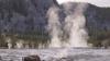 Yellowstone Bison That Tossed Tourist Won't Be Euthanized