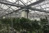 Santa Barbara County leads California in reported cannabis production