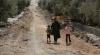 World News in Brief: Schools closed in West Bank, AI in healthcare, Indigenous rights