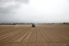 Colorado producers look to cut losses and stay afloat, in extreme drought